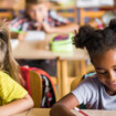 Quanto ao acesso e a Permanência na escola